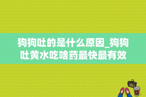 狗狗吐的是什么原因_狗狗吐黄水吃啥药最快最有效